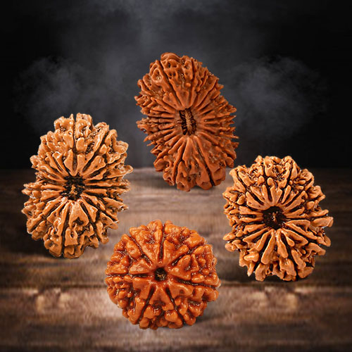 How Rudraksha Beads works in Human Heart and Body Rudraksha Ratna