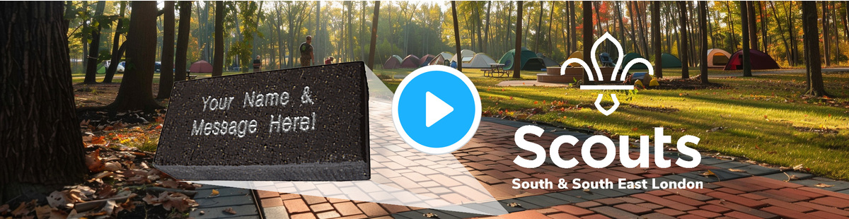 Scout banner 3