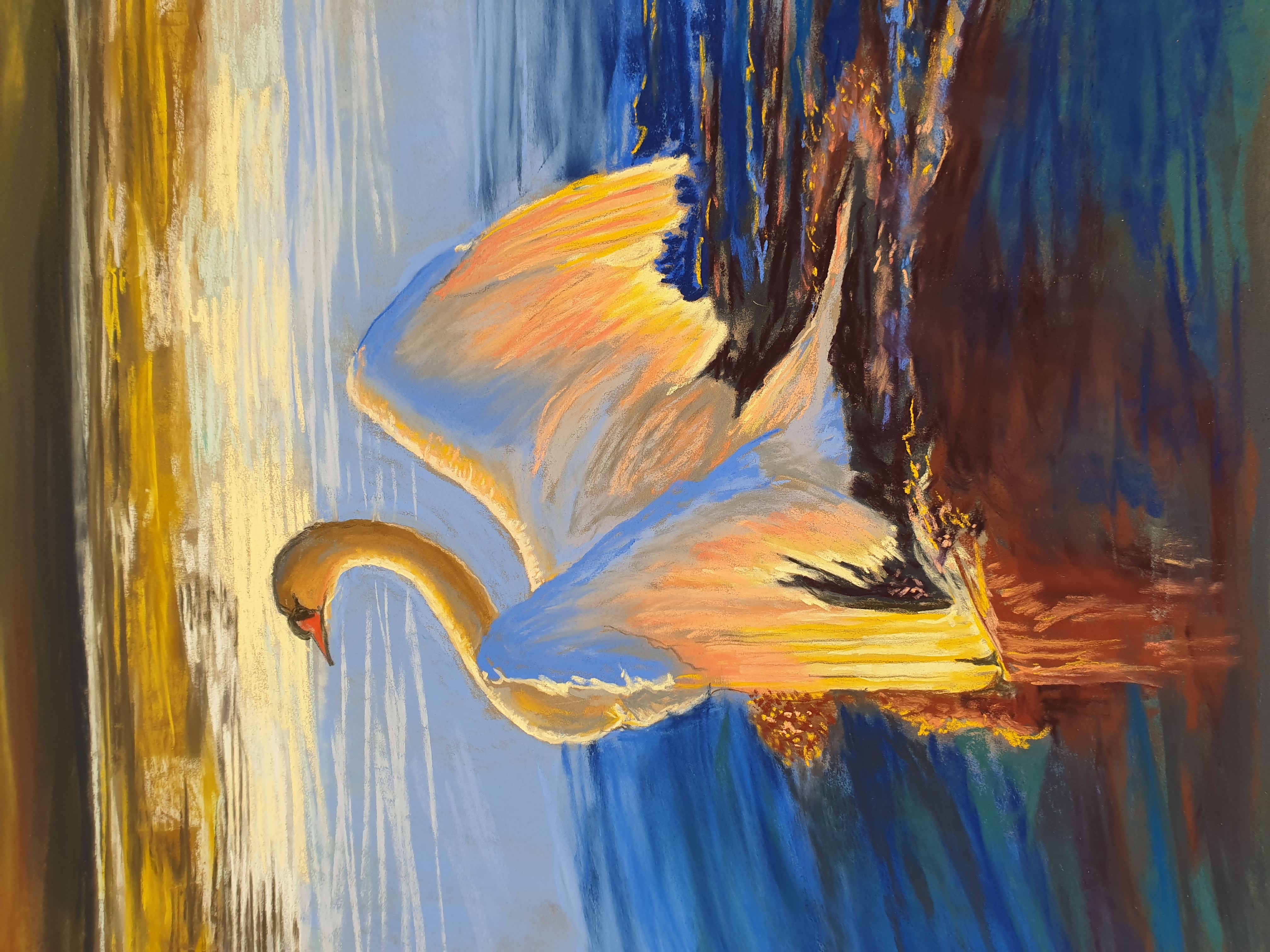 Swan