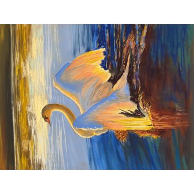 Swan