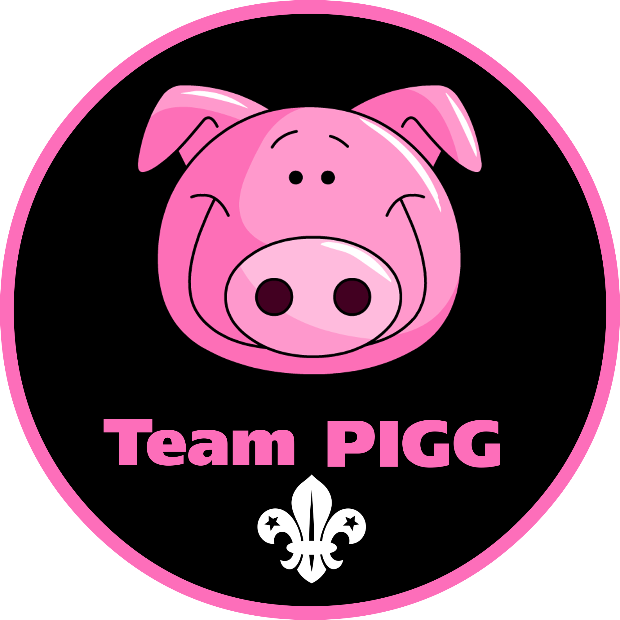 Team pigg logo