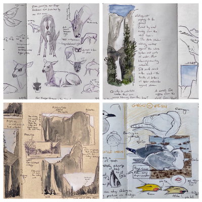 1000px1000pxwebplaceholder