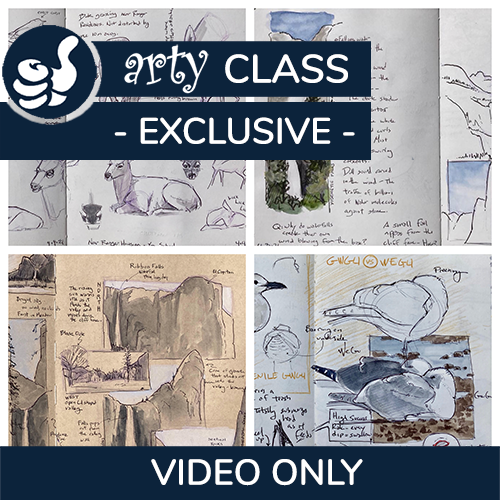 Shop placeholder ws video %281%29