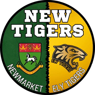 Newtigers