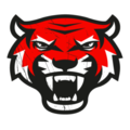 Cropped tigers site icon 300x300