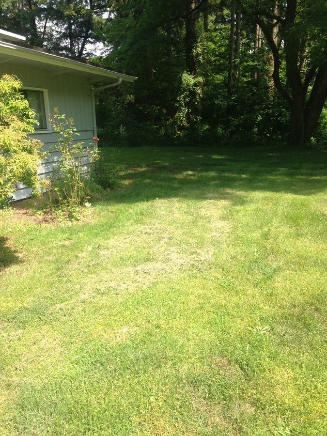 14524 Sherman Dr NW, Gig Harbor, WA 98332 Kalles Property Management