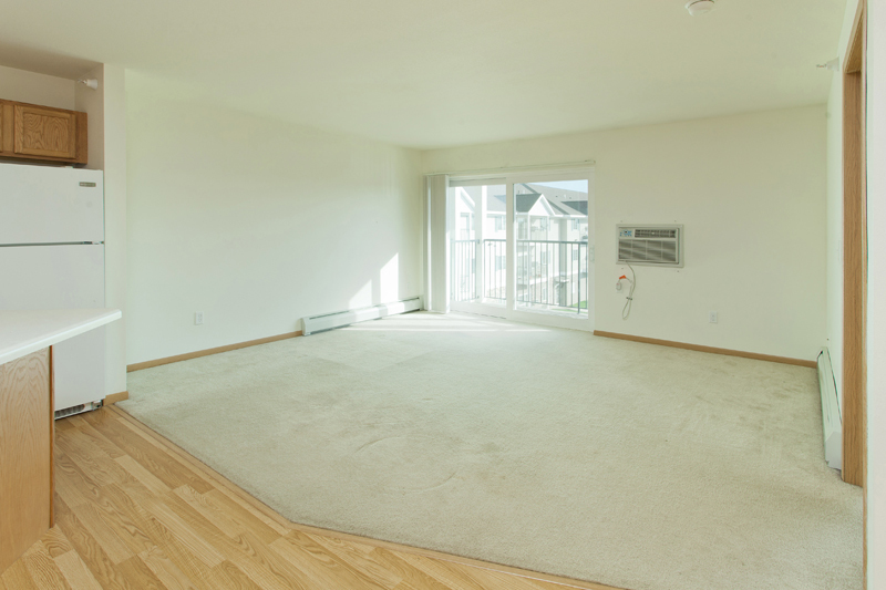 2550 Voyageur Pkwy Apt 325 Unit 325, Hastings, MN 55033 www