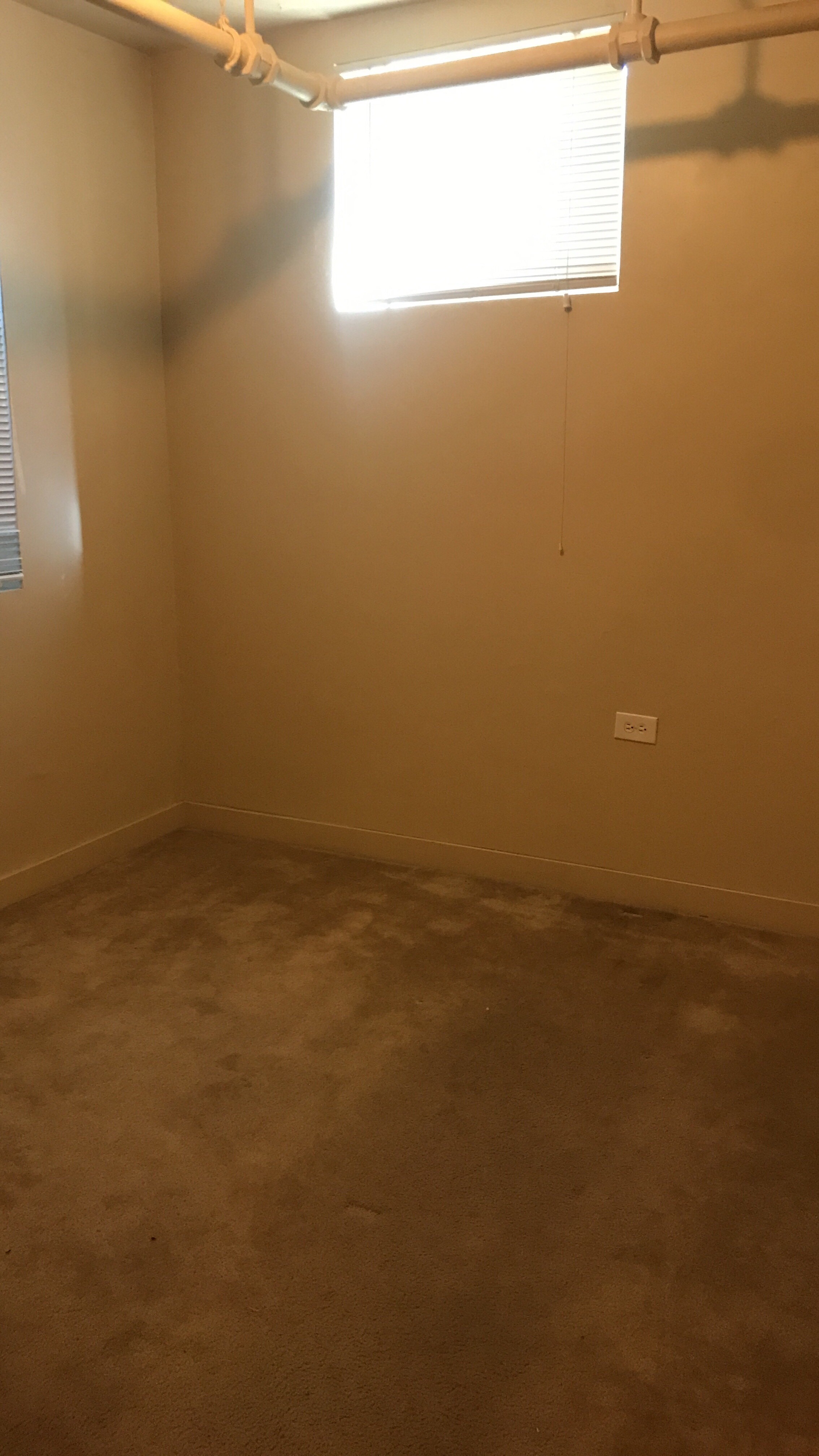 Denver Apartment: 1520 N Grape St