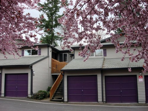 Apartment for Rent in Tigard