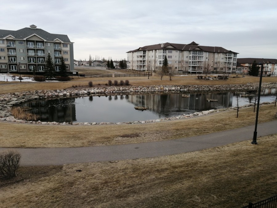 5466 Highlands Blvd W, Lethbridge, AB T1J 5K5 Renters Choice