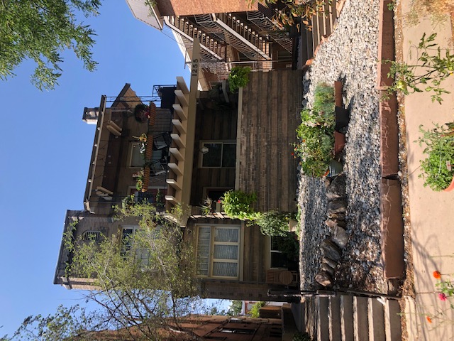 Denver Apartment: 1255 Emerson St