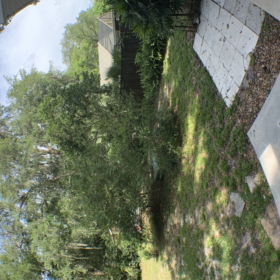 304 Cooke St, Leesburg, FL 34748 Gunn Property Services, LLC