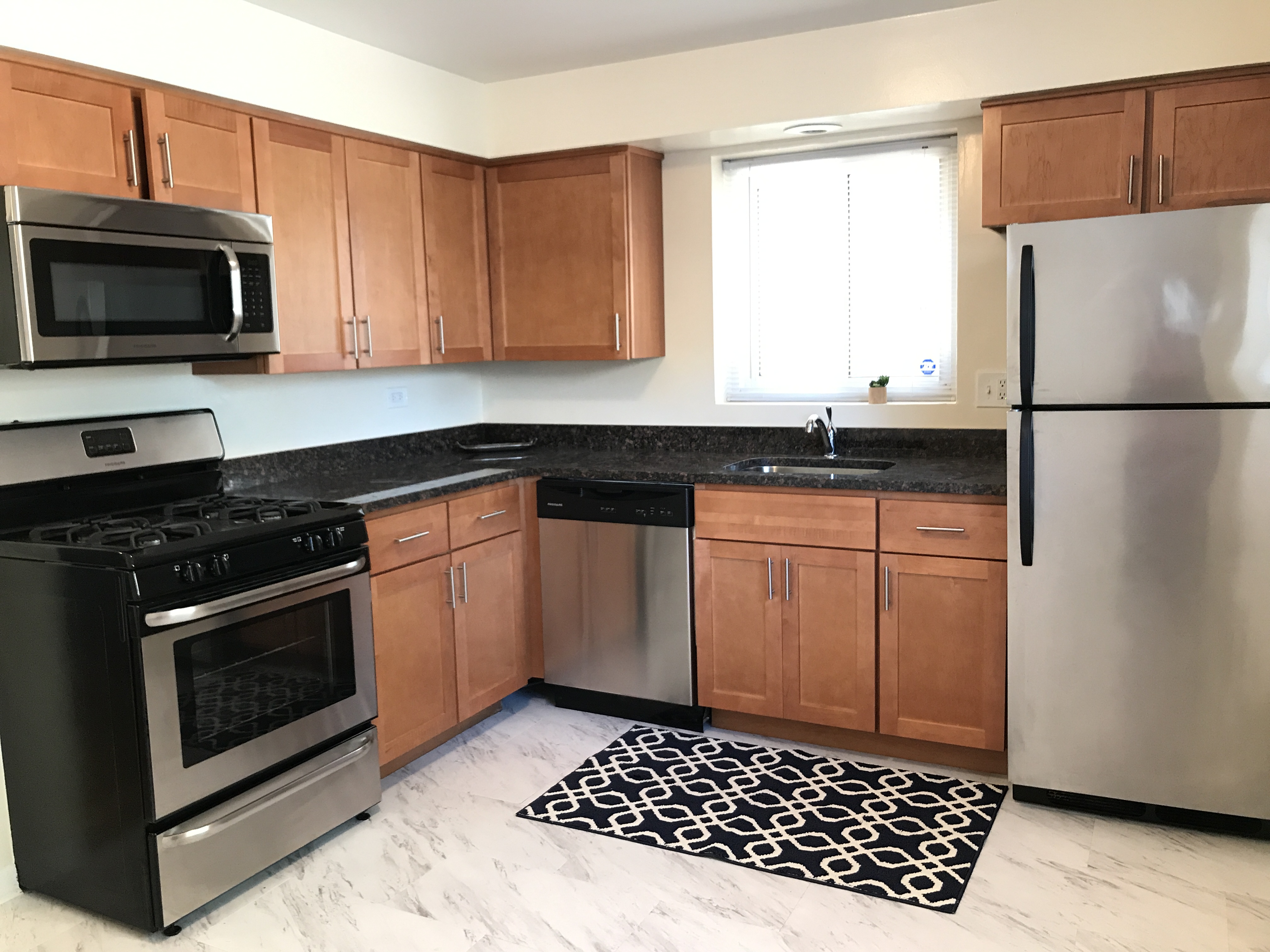 Evanston Condo: 741 Mulford