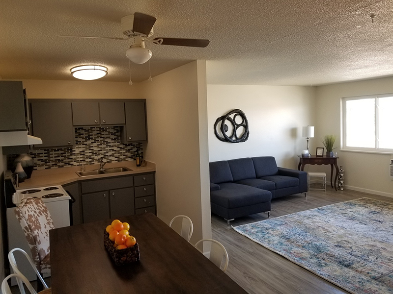 1614 Rainier Dr. 11, Colorado Springs, CO 80910 Boutique Apts