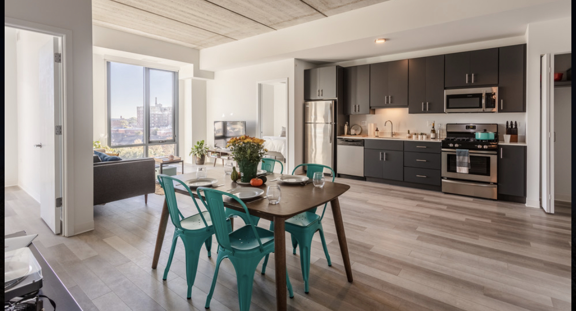 Chicago Condo: 710 W 14th St