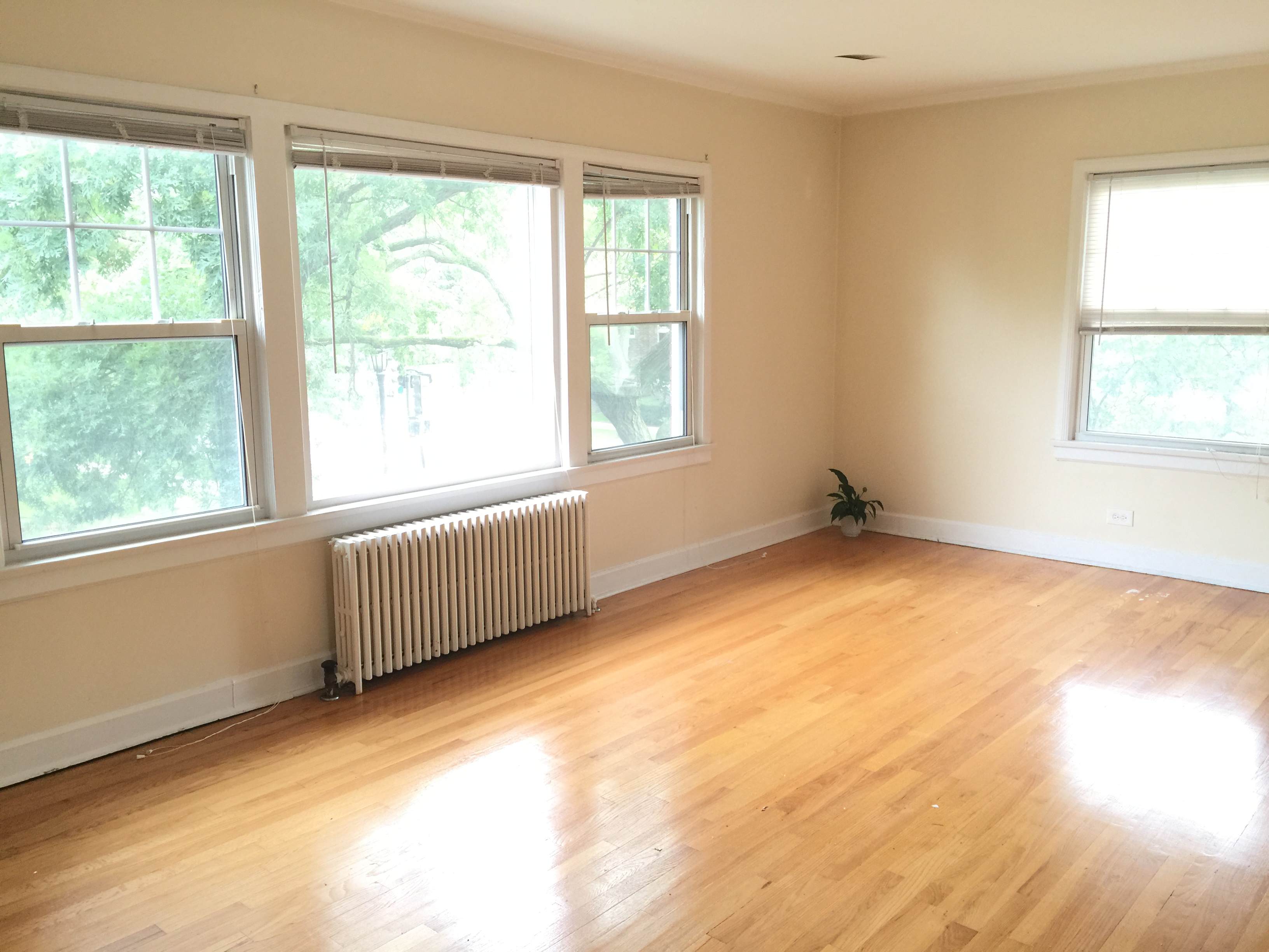 Evanston Condo: 835 Mulford