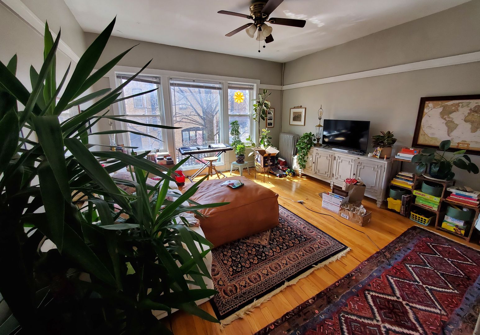 Chicago Condo: 2068 W Hutchinson  Street