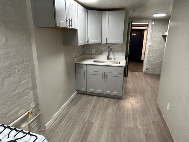 Denver Apartment: 1115 N Logan St