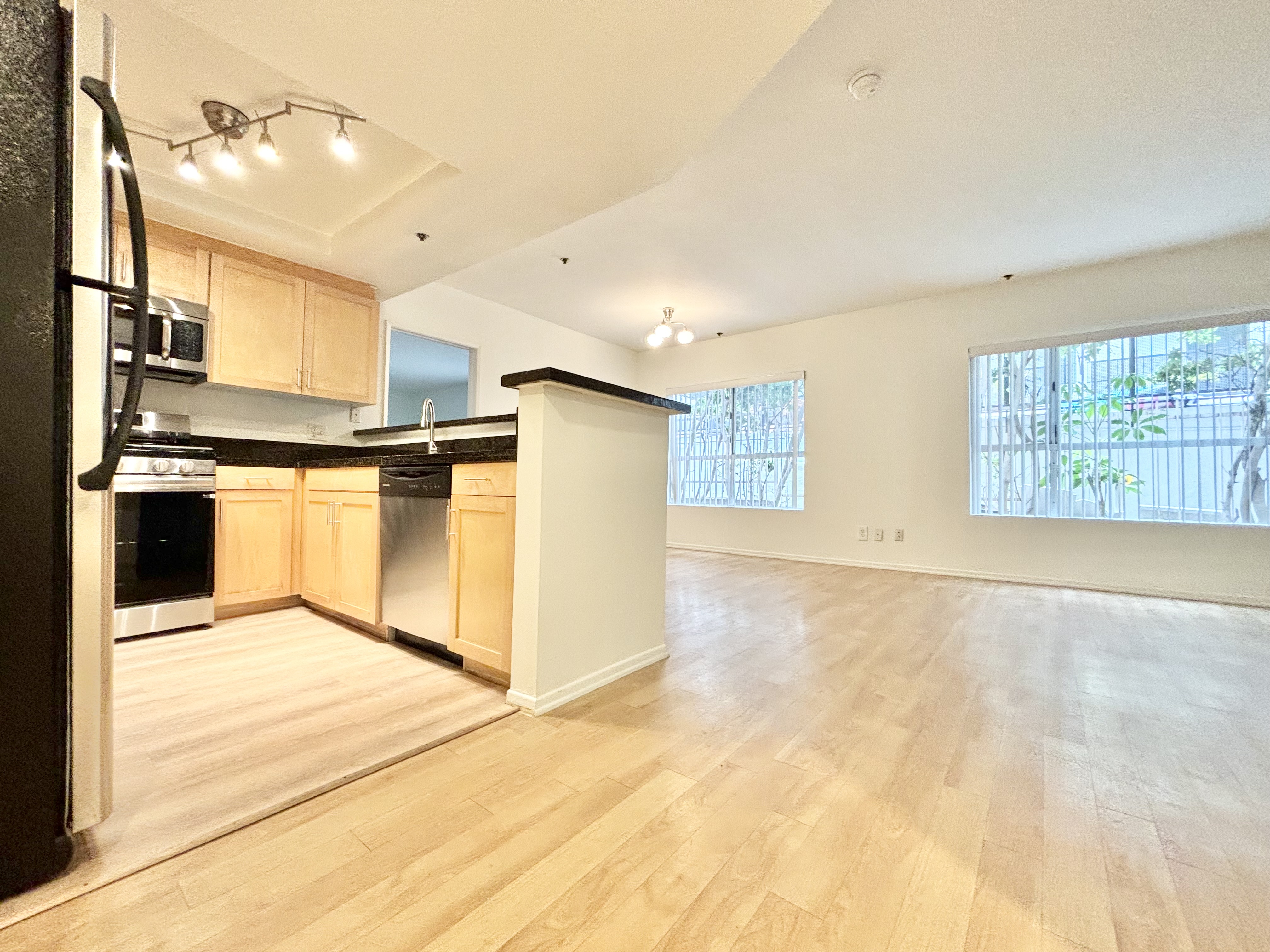 West Hollywood Condo: 937 Palm Ave.