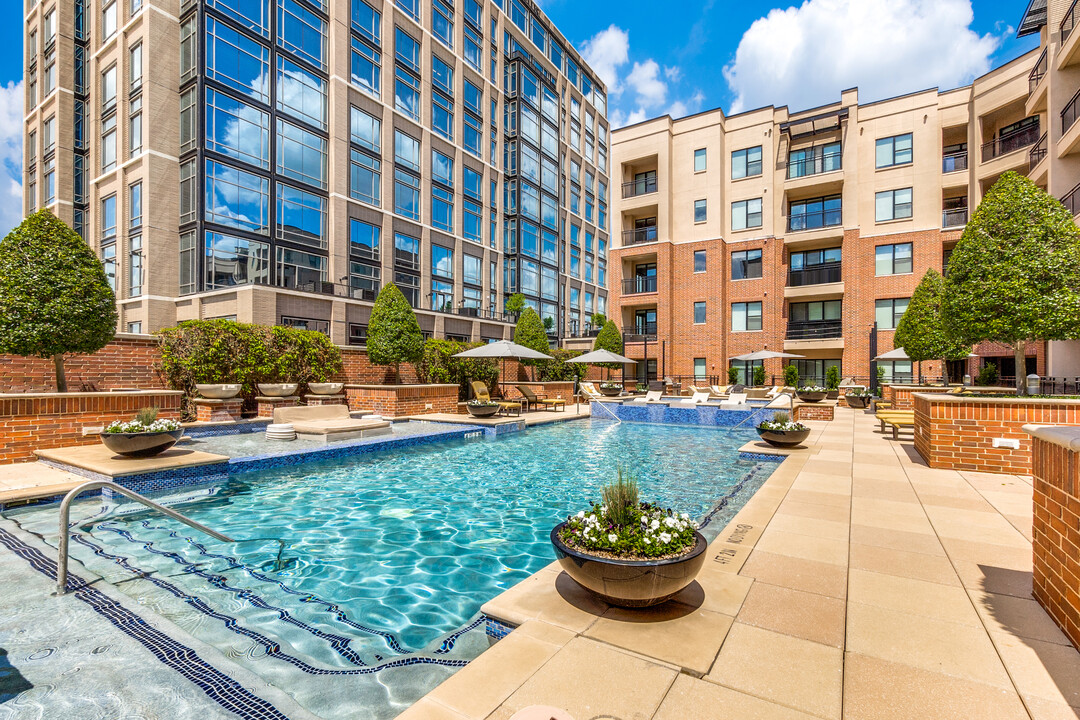 Dallas Condo: 4526 Cole Ave
