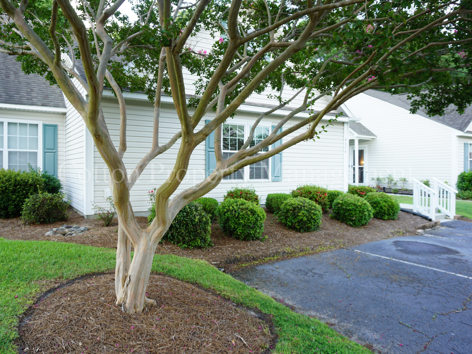 Wilmington Townhome: 4604 Song Sparrow Ct