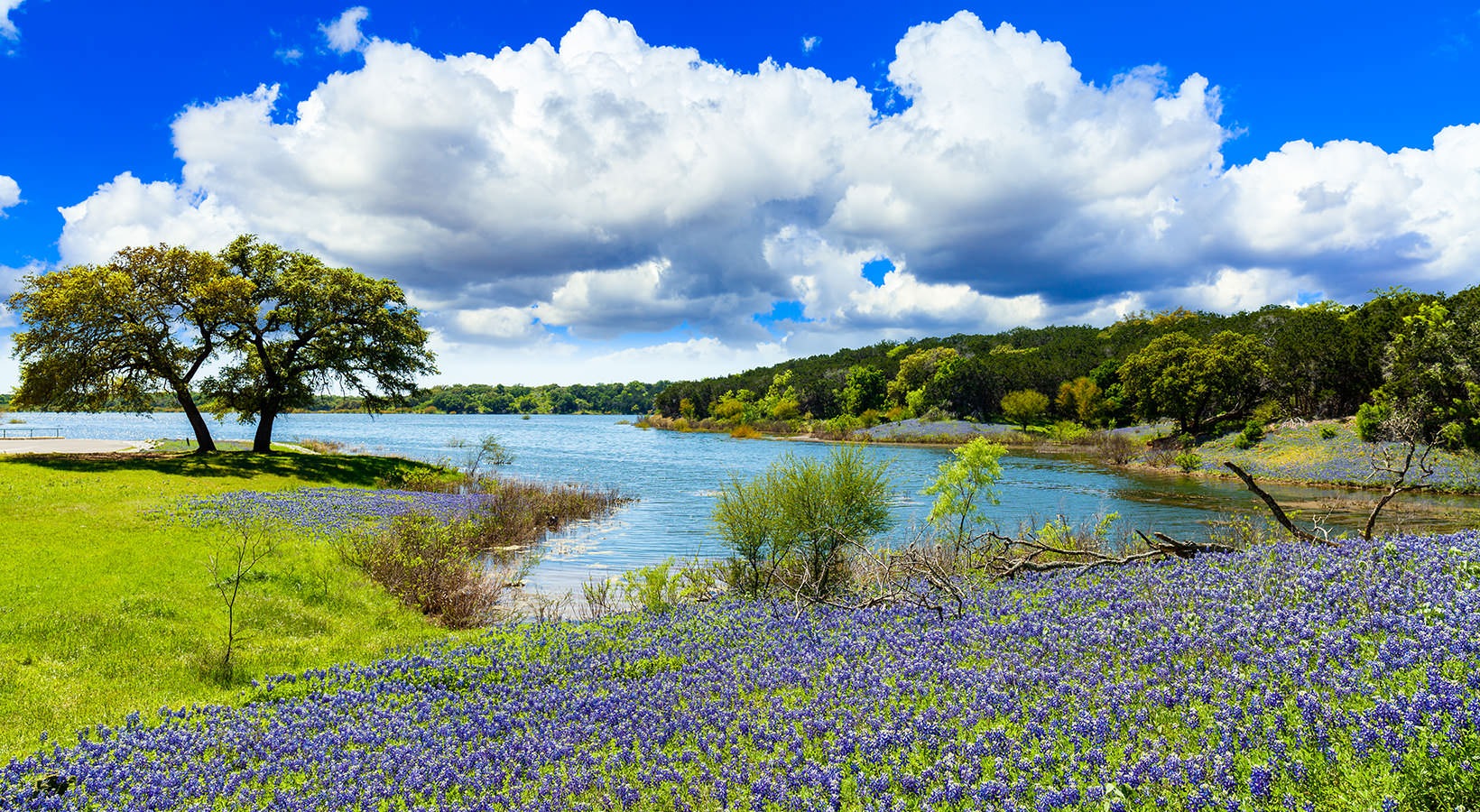 Leander Condo: 242 Chitalpa St