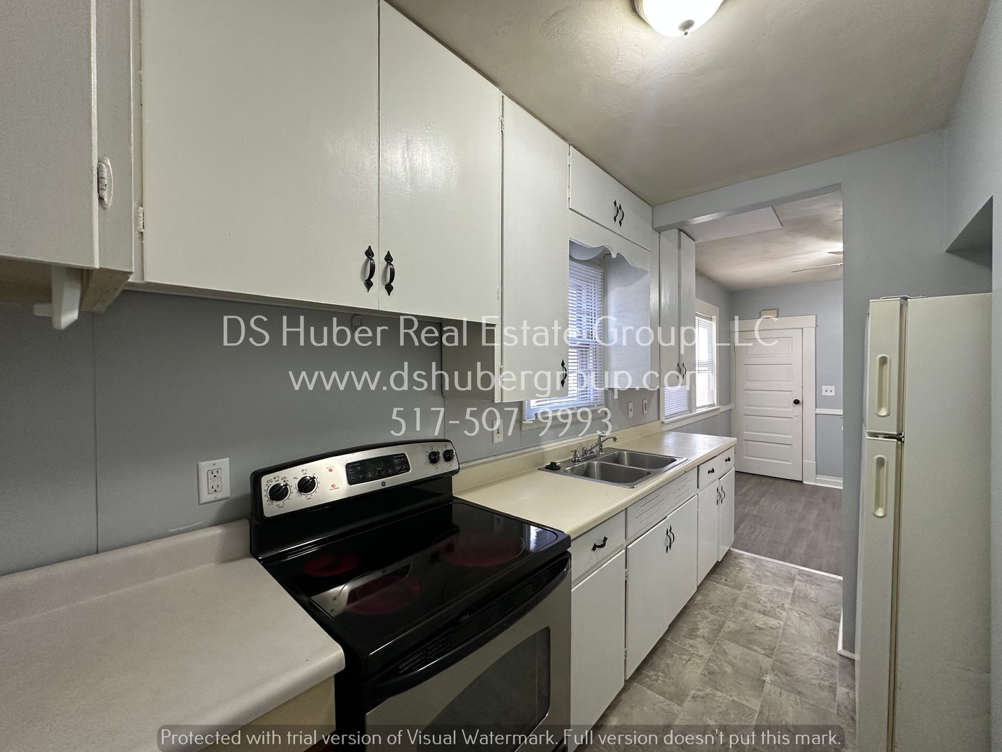 Lansing Condo: 117 E North St