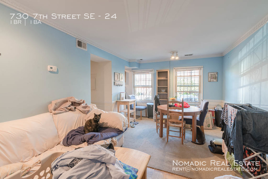 Washington Condo: 730 7th St SE Apt 24