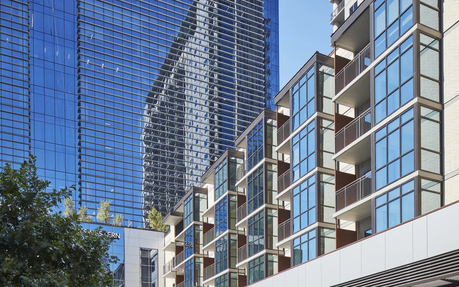 Dallas Condo: 2324 N Akard St