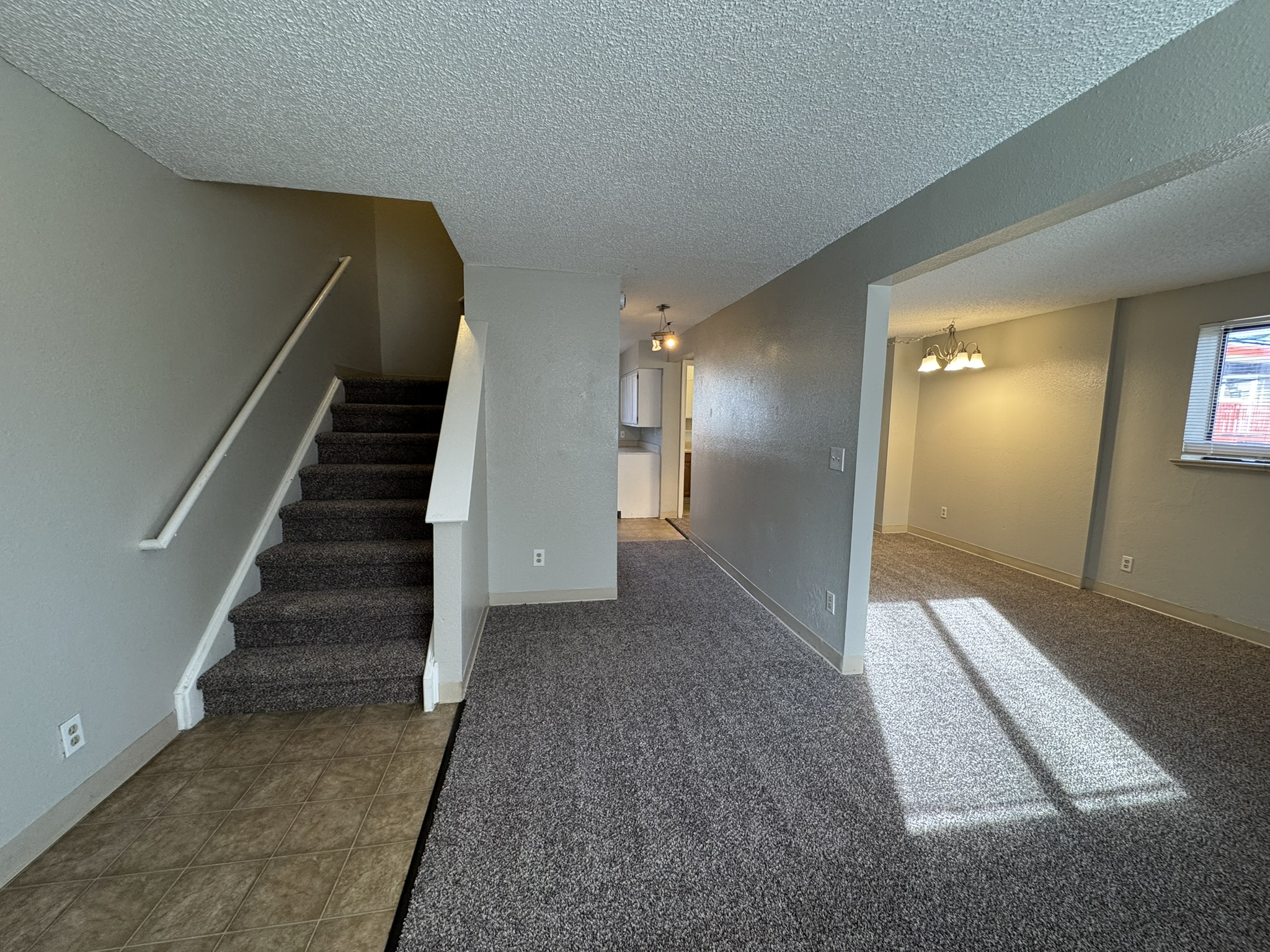 Denver Apartment: 2110 N Williams St