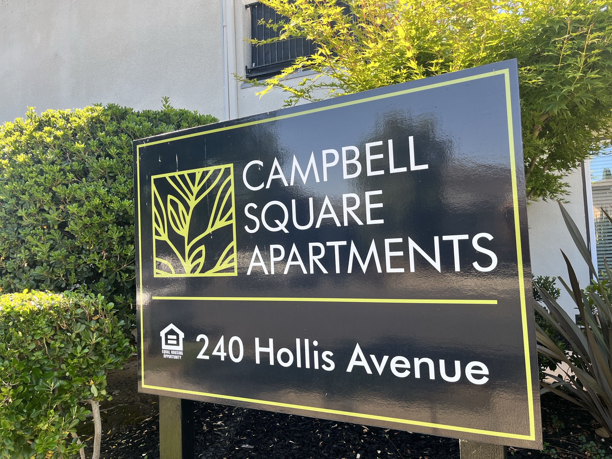 Campbell Apartment: 240 Hollis Ave