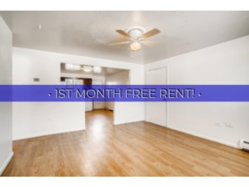 Denver Condo: 290 S Hoyt Street