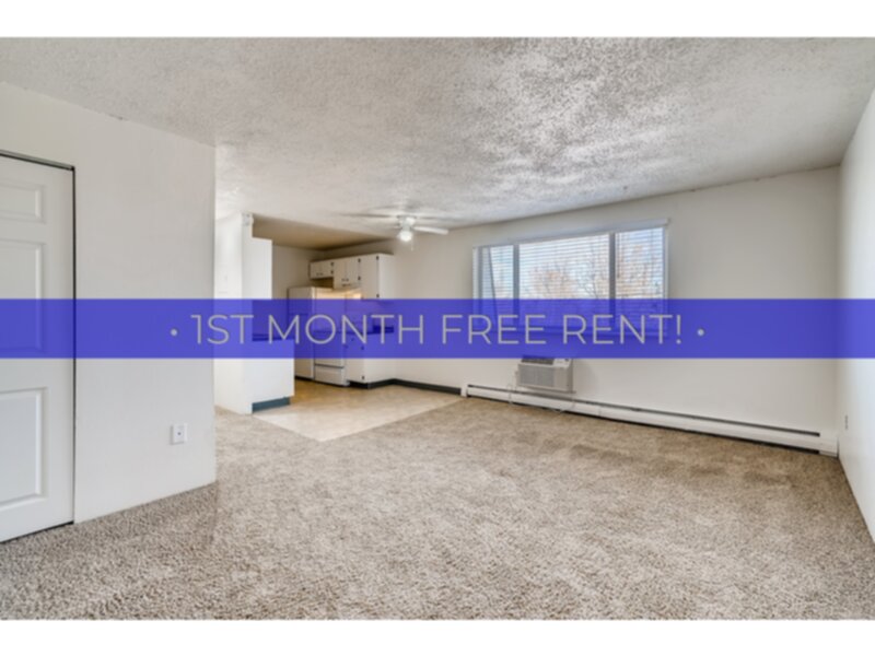 Denver Condo: 3660 S Lowell Blvd