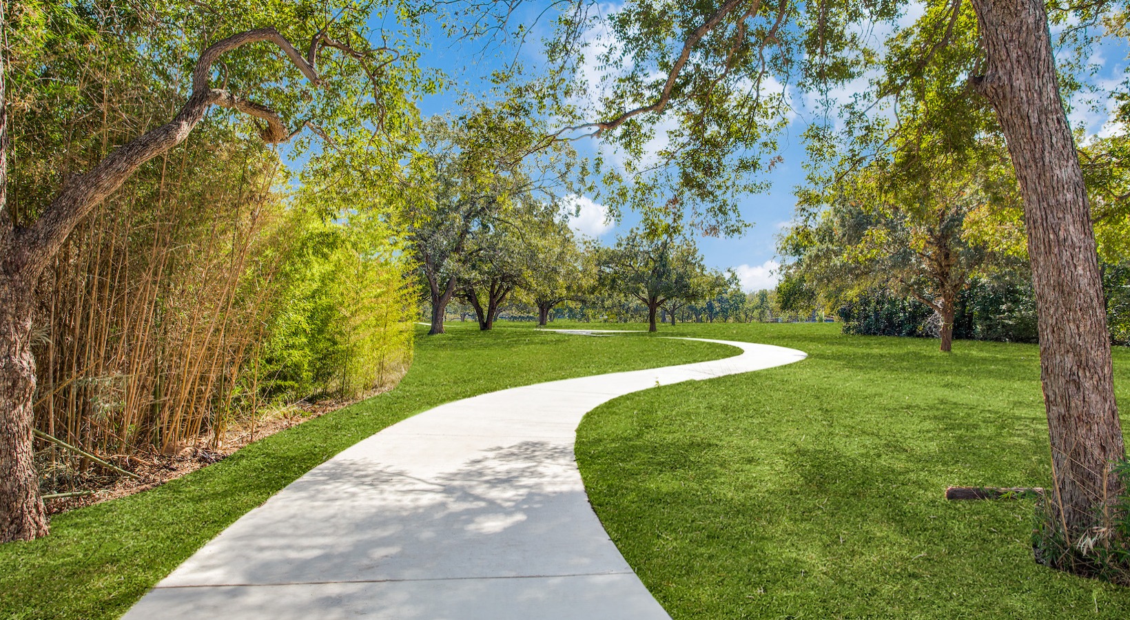 Austin Condo: 1129 Shady Ln