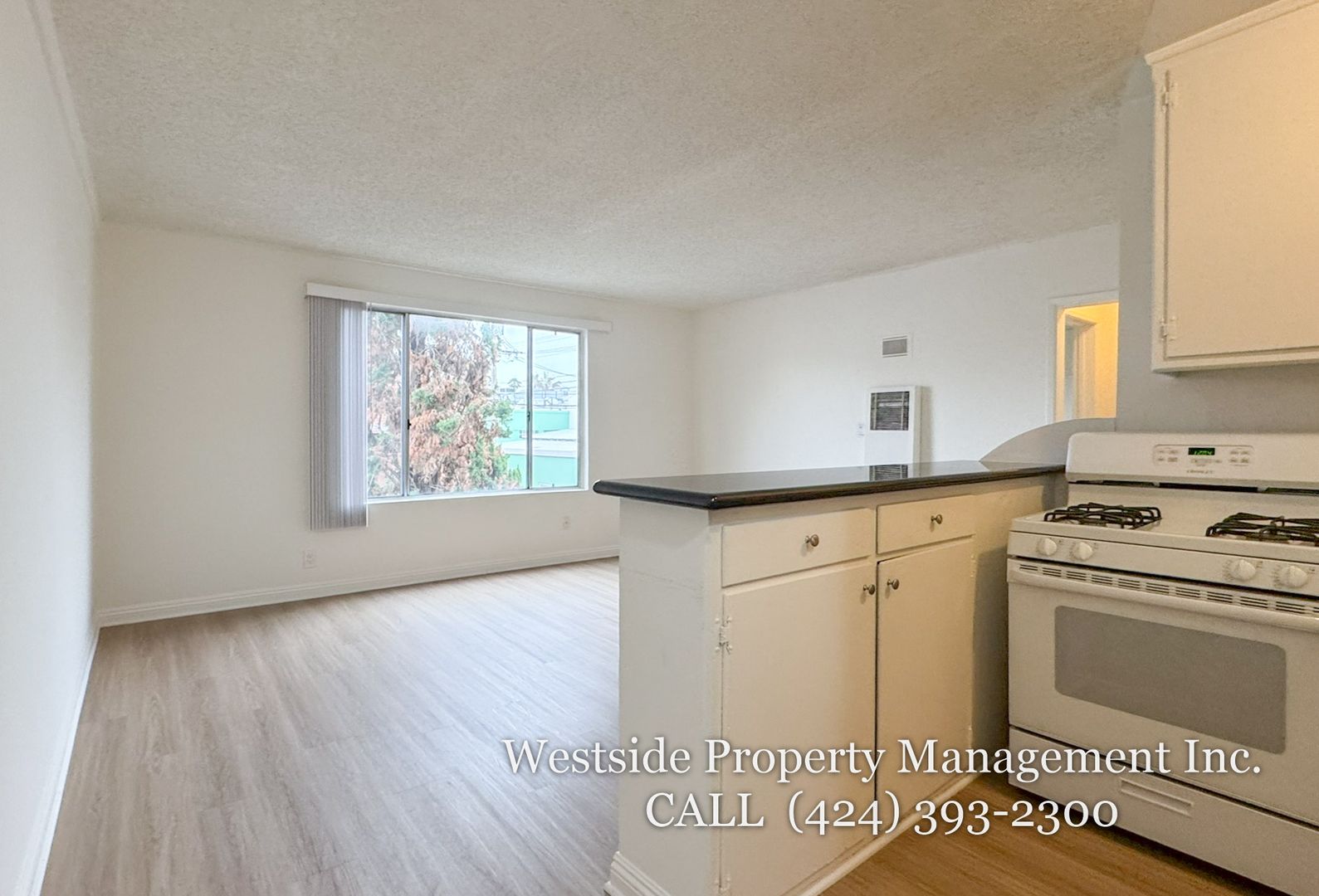 Santa Monica Condo: 1138 Euclid St.