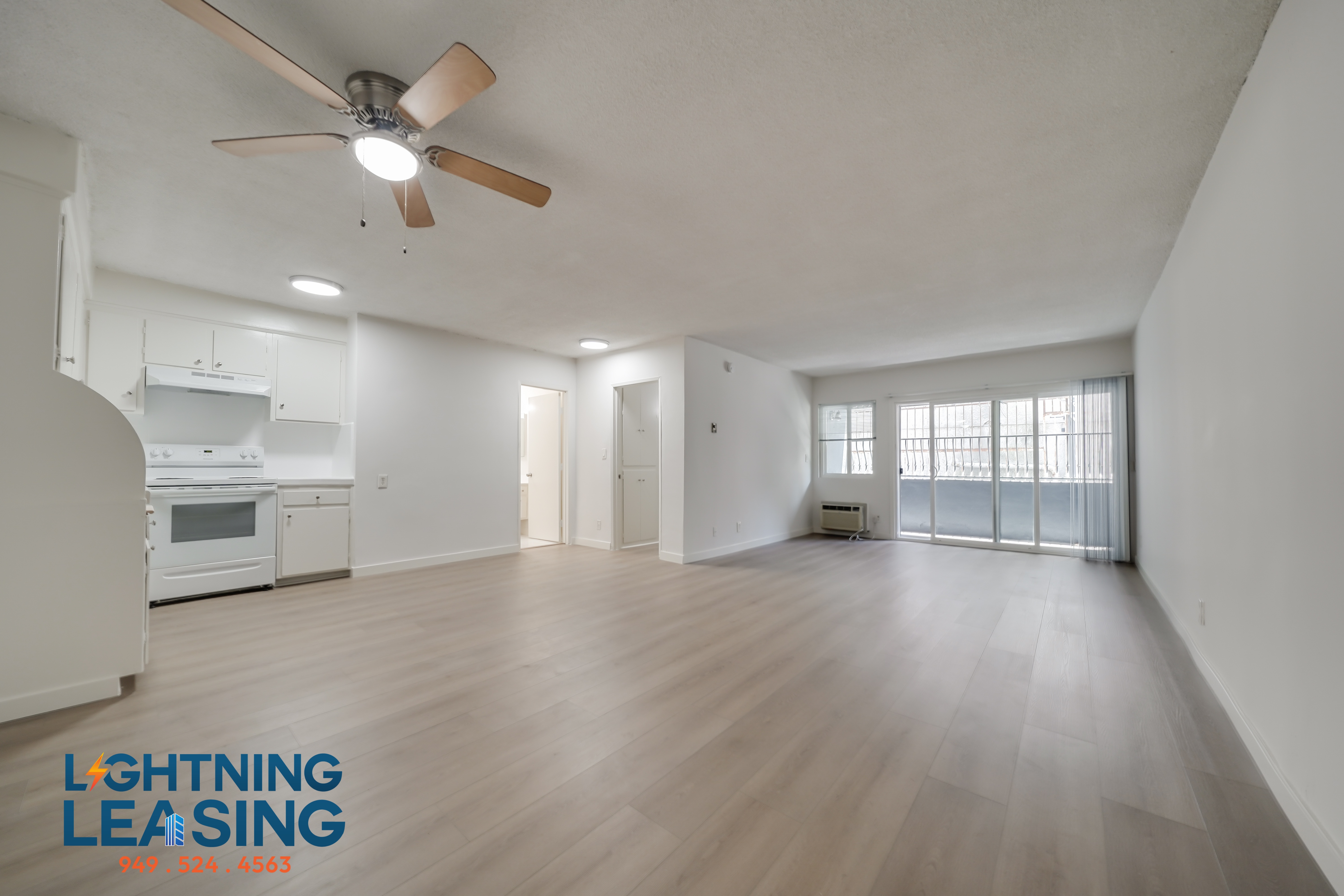 Los Angeles Condo: 700 S Irolo St