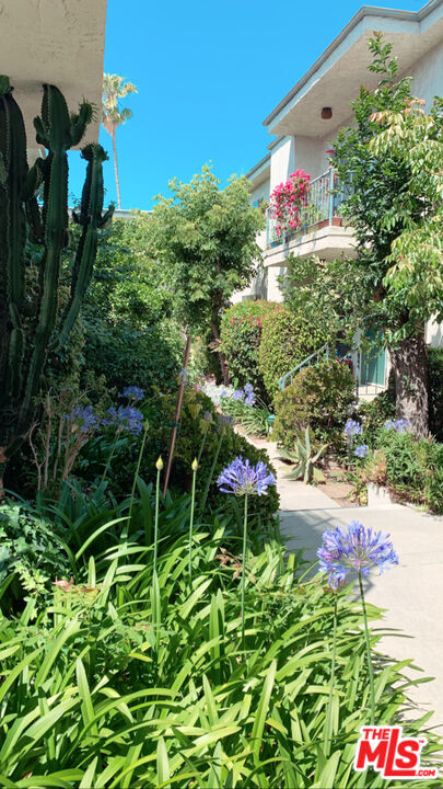 Los Angeles Condo: 11081 Rose Avenue