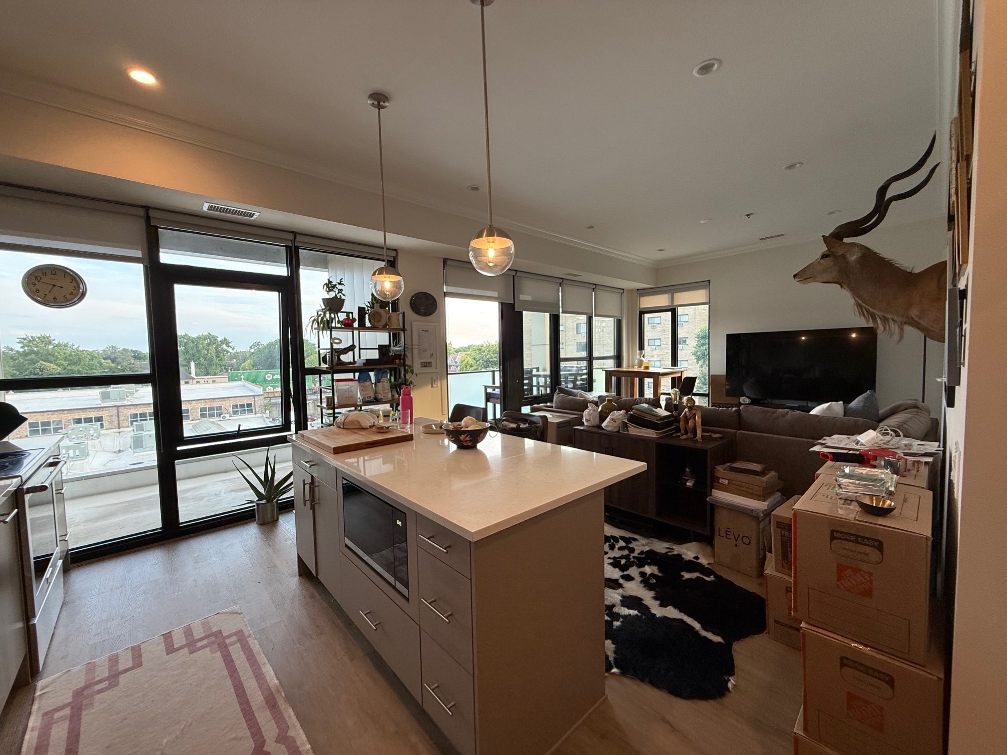 Chicago Condo: 835 Lake Street