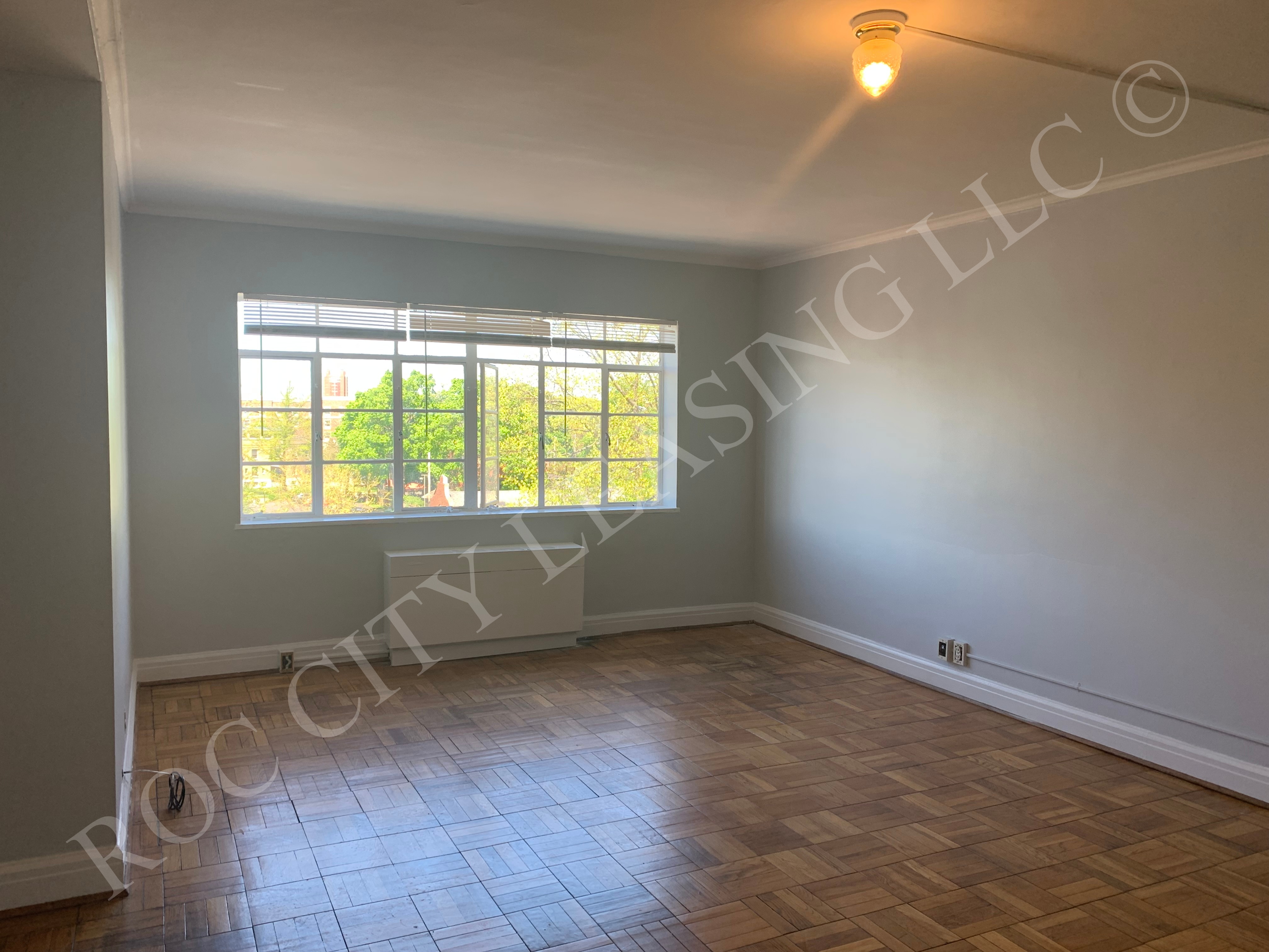 Rochester Apartment: 520 East Ave