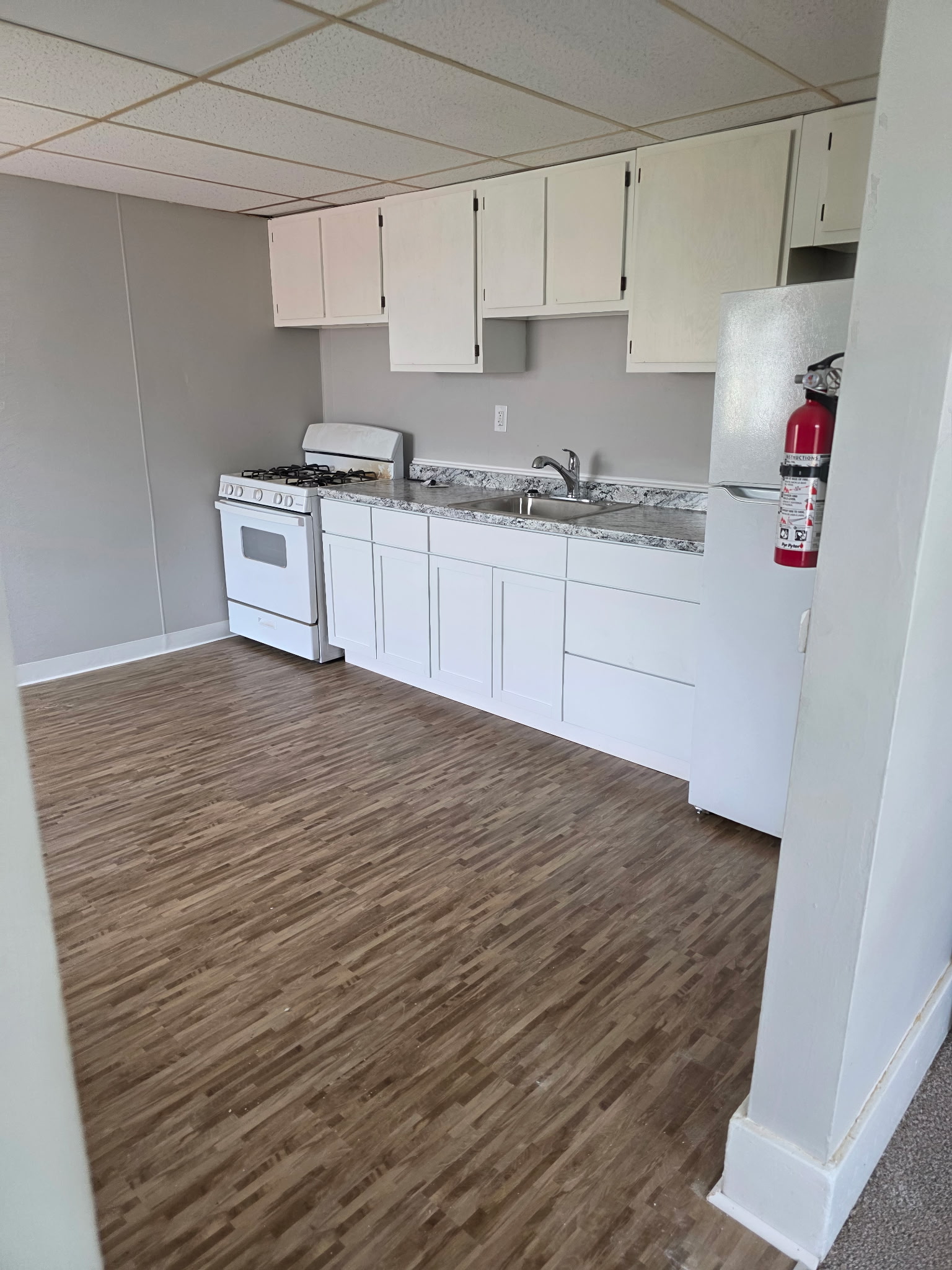 Lincoln Park Condo: 1665 Pagel St