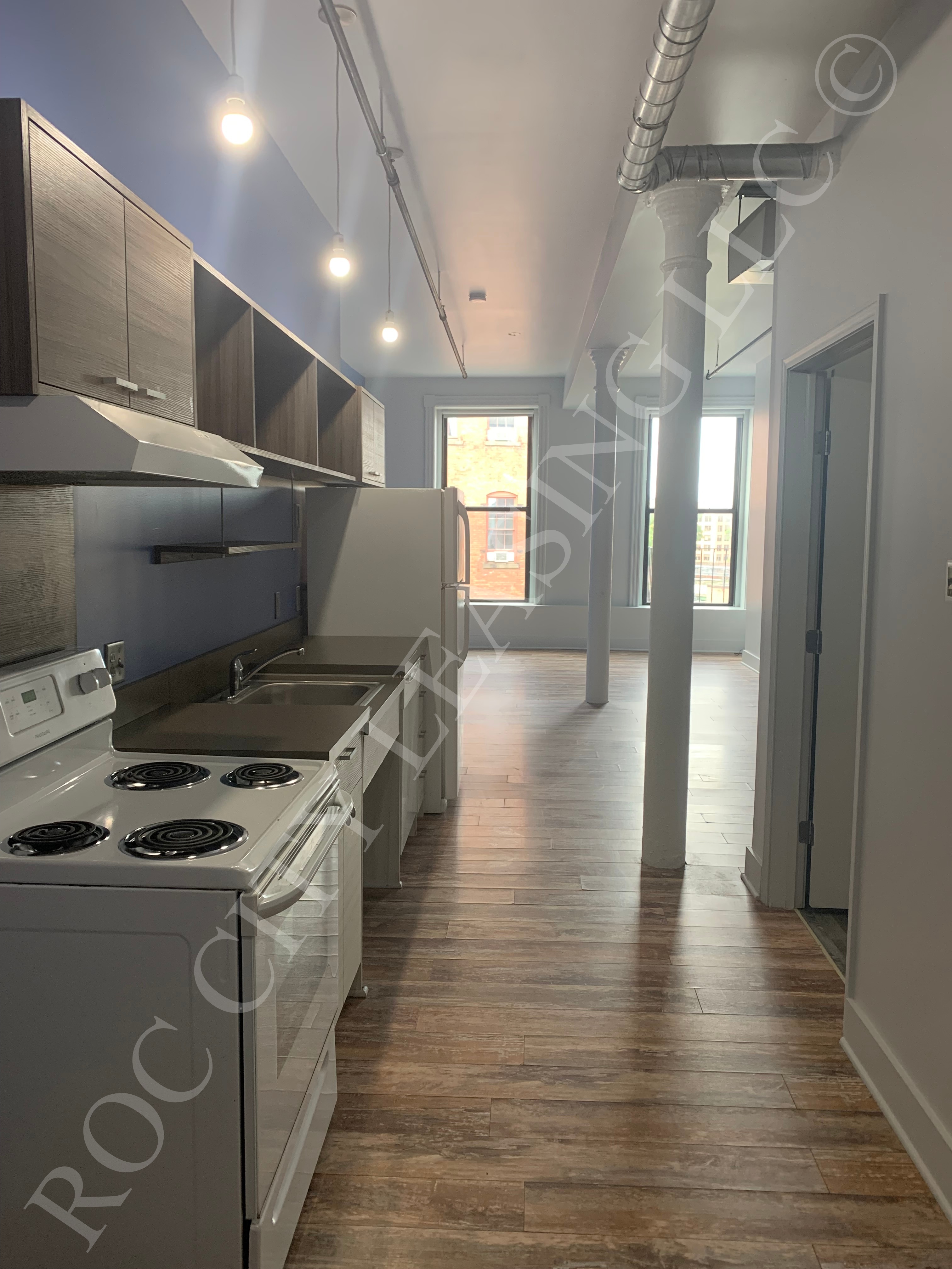 Rochester Apartment: 155 Saint Paul St