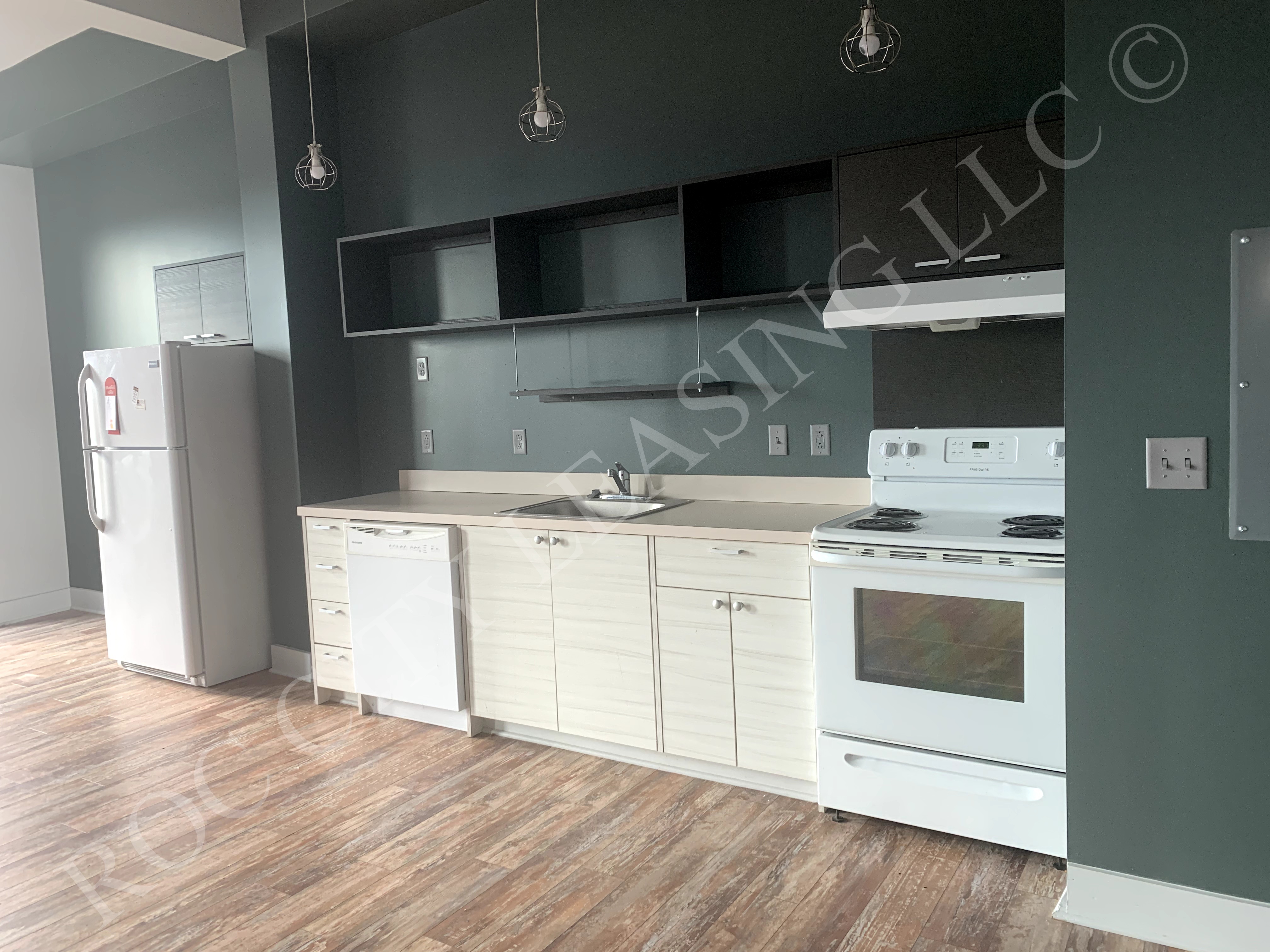 Rochester Apartment: 155 Saint Paul St