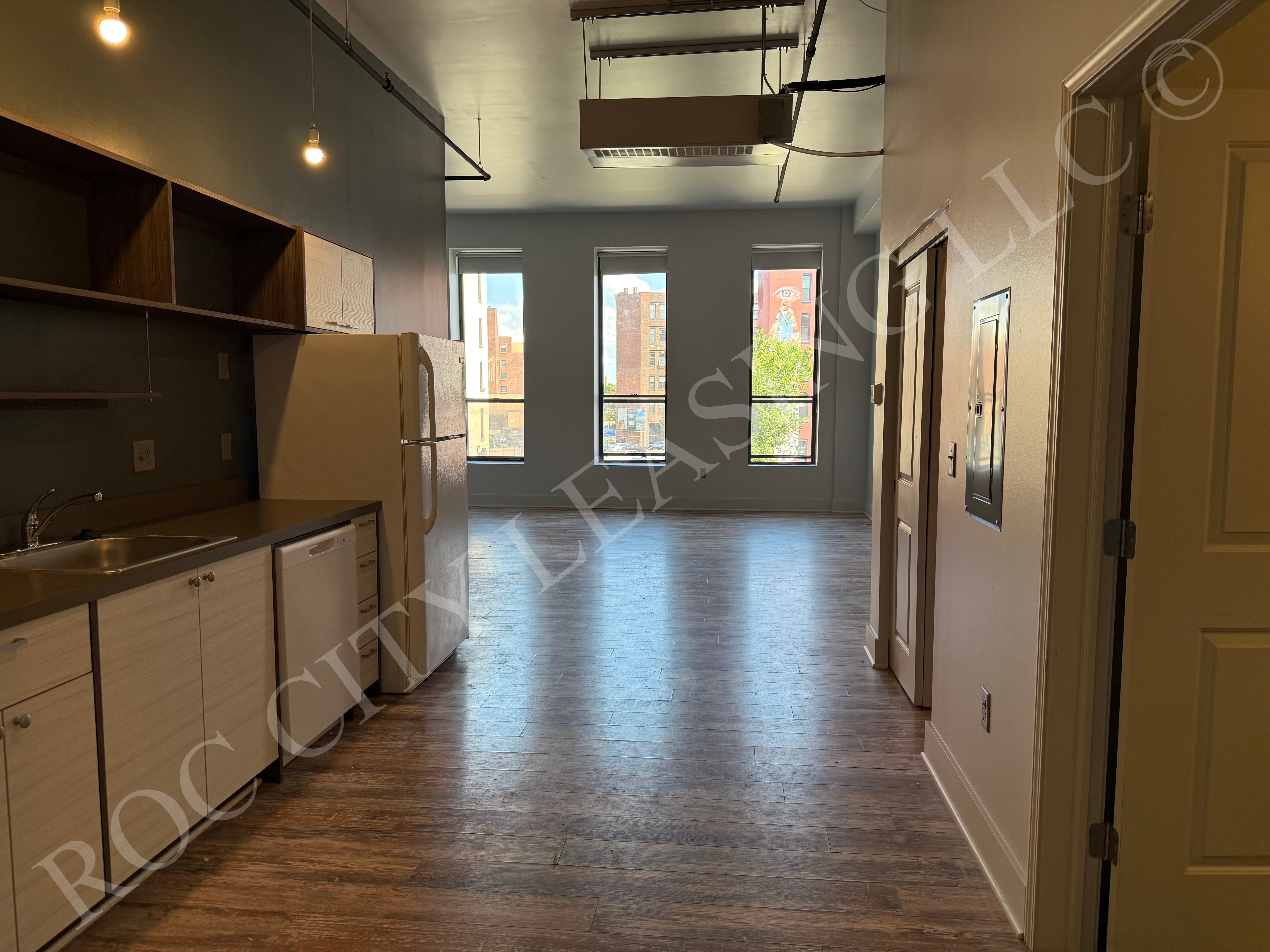 Rochester Apartment: 155 Saint Paul St