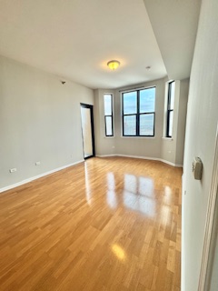 Chicago Condo: 1464 S Michigan