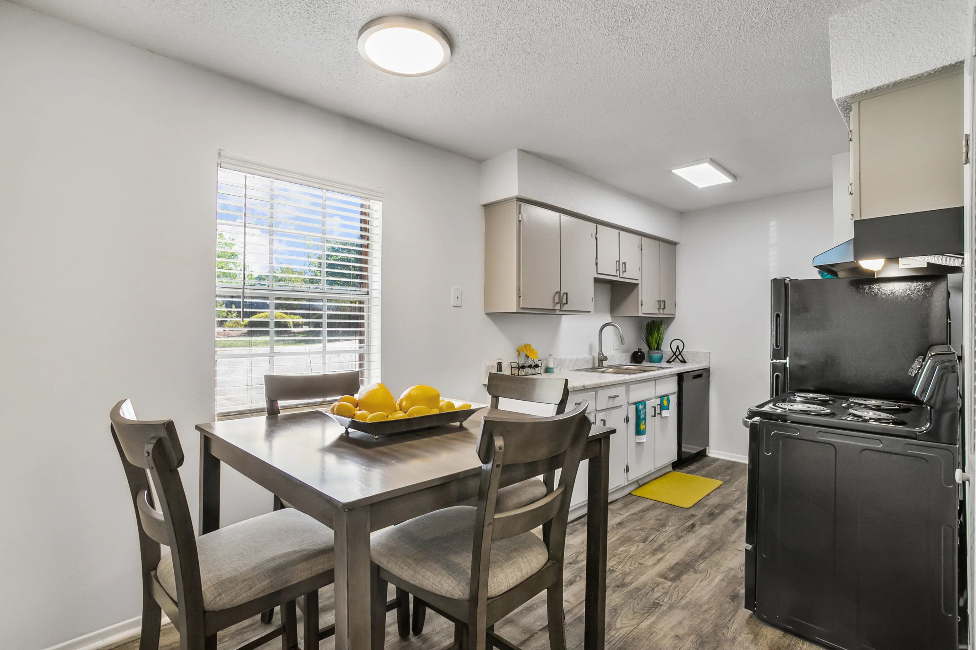 Greenville Apartment: 357 Hillandale Rd