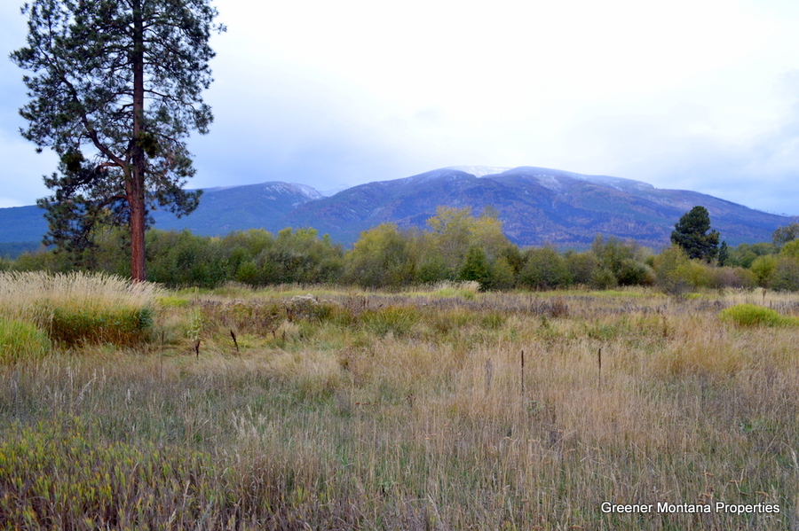 1589 US Hwy 93 S, Hamilton, MT 59840 Greener Montana Properties