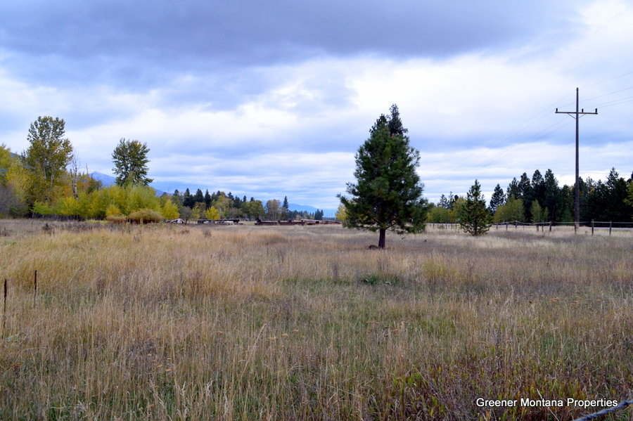 1589 US Hwy 93 S, Hamilton, MT 59840 Greener Montana Properties