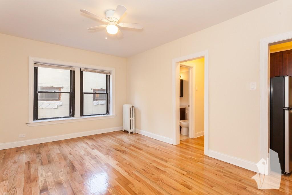 Chicago Condo: 1164 N Dearborn
