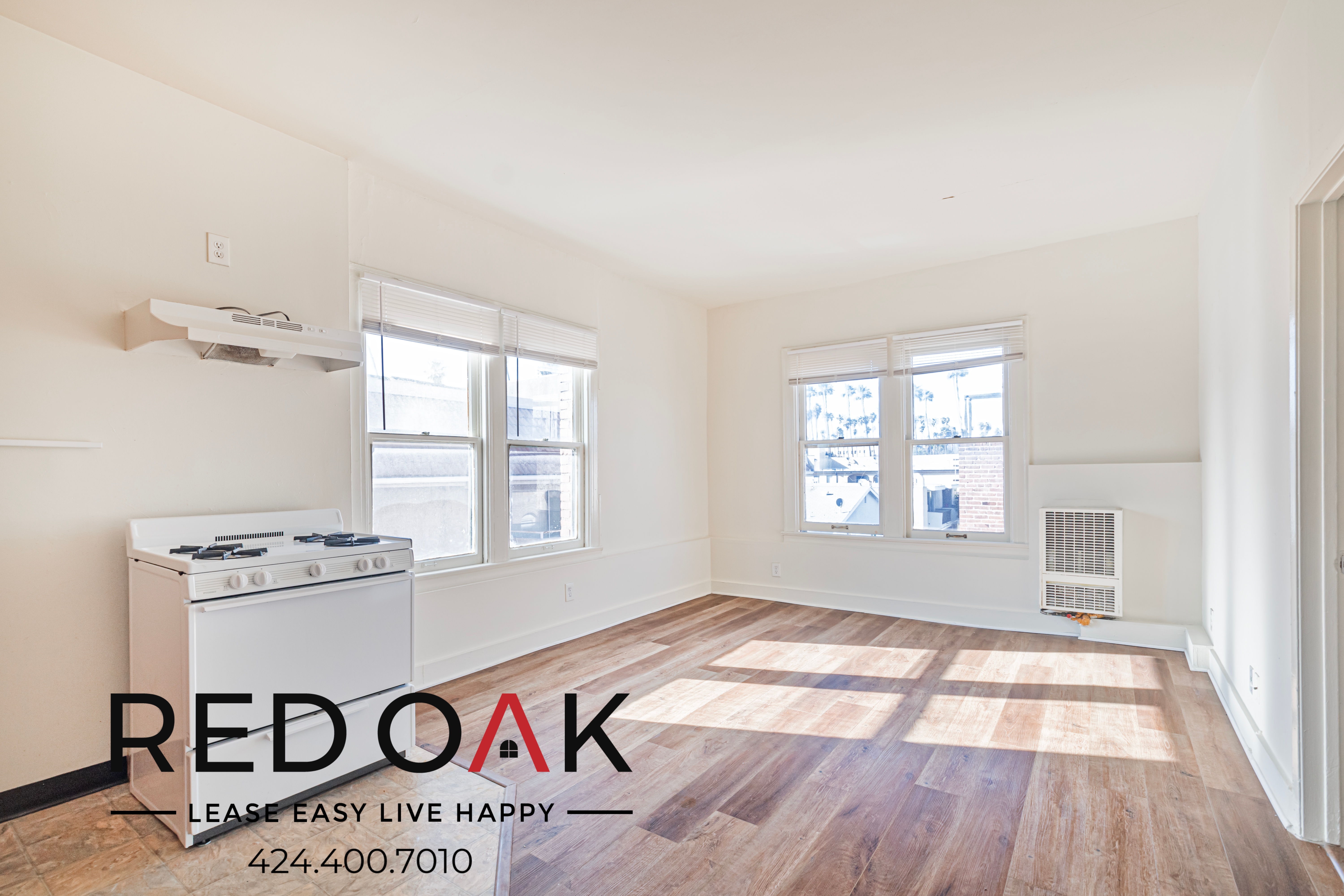 Los Angeles Condo: 537 S Kenmore Ave