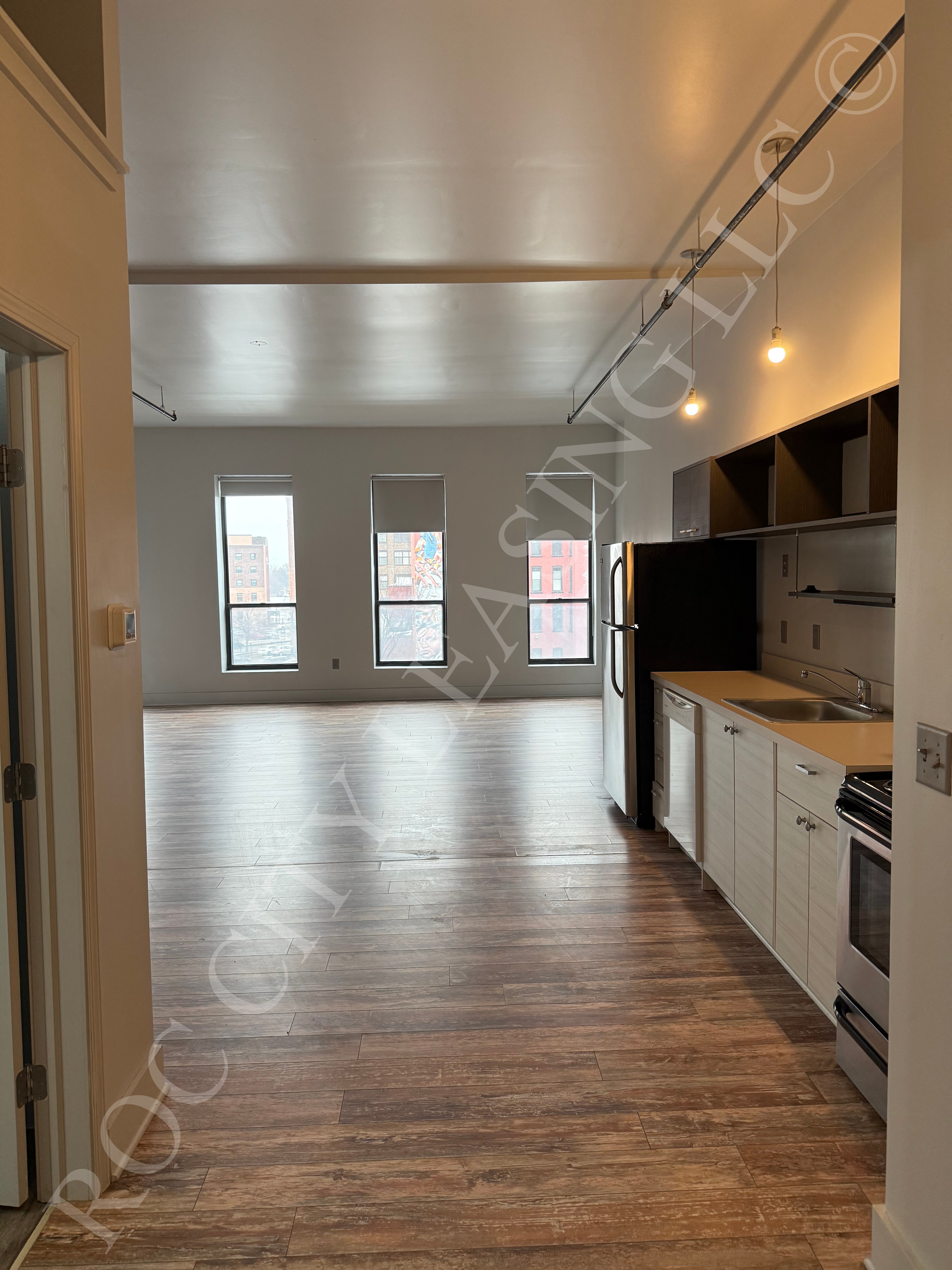 Rochester Apartment: 155 Saint Paul St